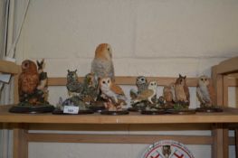 Quantity of Country Artist owl figurines