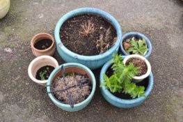 Mixed Lot: Seven various plant pots to include turquoise glazed examples