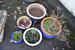 Group of five various plant pots