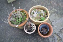 Mixed Lot: Terracotta plant pots and others