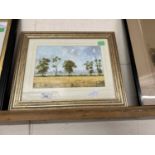 Lorenzo Barron, Wheat Fields Nr Norwich, watercolour, framed and glazed