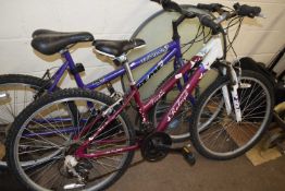 A ladies Raleigh Venture mountain bike together with a universal mountain bike (2)