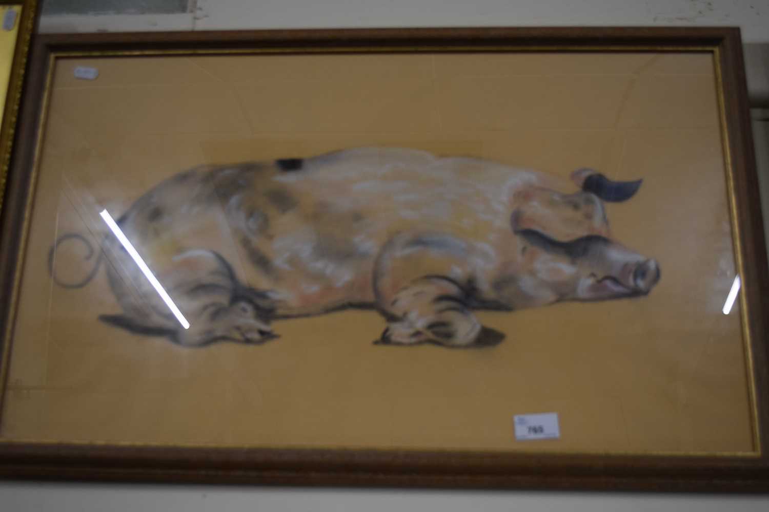 Study of a pig, framed and glazed