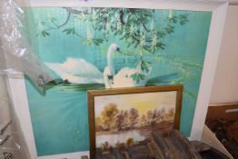 Swans on the Water and a river scene (2)