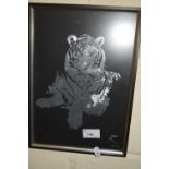 Study of a Tiger, framed and glazed