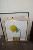 Mixed Lot: Lilian Shaw study of a greenhouse shelf together with a further coloured print of a