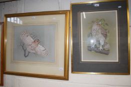 Barn owl in flight by C A Hardy, reproduction print, glazed and framed together with portrait of a
