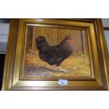 Study of a chicken by Donna Crawshaw, oil on canvas in gilt frame