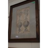 Spheres and Globes, print, framed and glazed