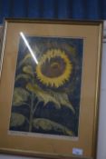 P M Roper, Sunflower, coloured print, one of five, framed