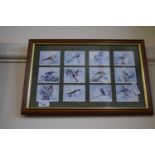 British Birds, set of framed cigarette cards