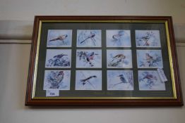 British Birds, set of framed cigarette cards