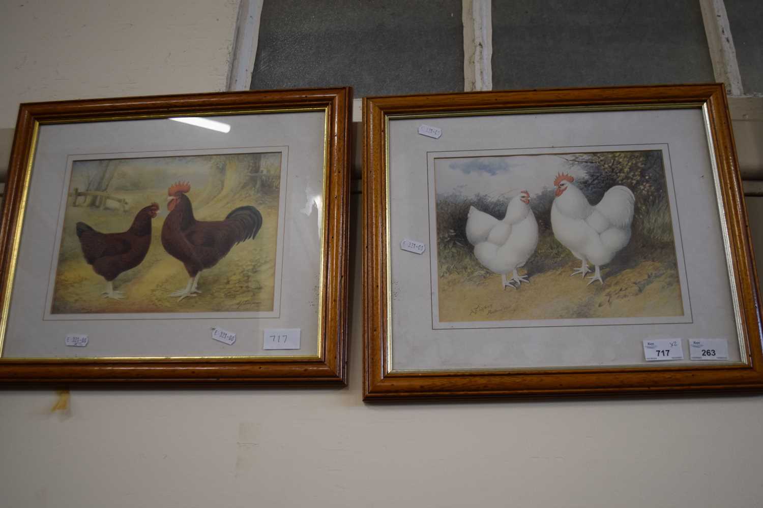 Two prints of chickens