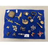 Mixed Lot: Various costume jewellery, brooches