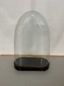 Antique glass dome and base, appears undamaged, 50cm high