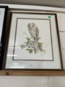 Brian Bedford (British, 20th century), Barn Owl perched on a tree branch, watercolour, signed,