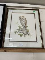 Brian Bedford (British, 20th century), Barn Owl perched on a tree branch, watercolour, signed,