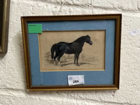 "English Draught Horse" (plate 13), hand coloured steel engraving, published by W.H Lizars,