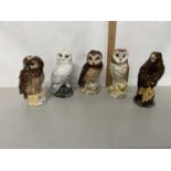 Group of five Whyte & Mackay novelty whisky decanters formed as owls and birds of prey