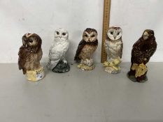 Group of five Whyte & Mackay novelty whisky decanters formed as owls and birds of prey