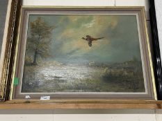 R.J Scott (British, 20th century), Ring necked pheasant in flight across a landscape, oil on