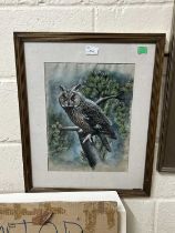 long eared owl water colour