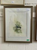Andrew Osborne (British), Great Tit, watercolour, signed, 9.5x12ins, framed and glazed.