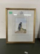 Tony Parish (British, 20th century), Peregrine Falcon perched on a rock, watercolour, signed and