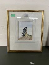 Tony Parish (British, 20th century), Peregrine Falcon perched on a rock, watercolour, signed and