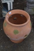 A terracotta herb pot