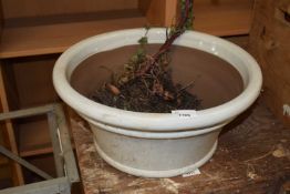 A painted terracotta plant pot