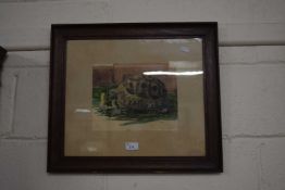 F.Marsh, study of a tortoise, watercolour, framed and glazed