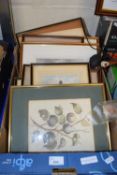 Box of various engravings, prints etc
