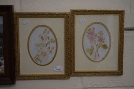 Pair of botanical prints, framed and glazed