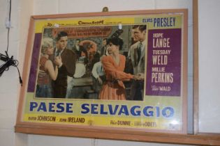An Elvis Presley film poster Paese Selvaggio, framed