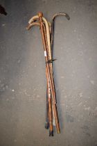 A bundle of assorted walking sticks