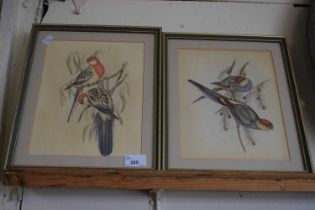 Quantity of four prints of birds