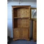 Modern pine bookcase with cupboard beneath