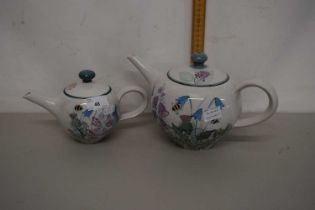 Tain Pottery teapot and a similar smaller example (2)