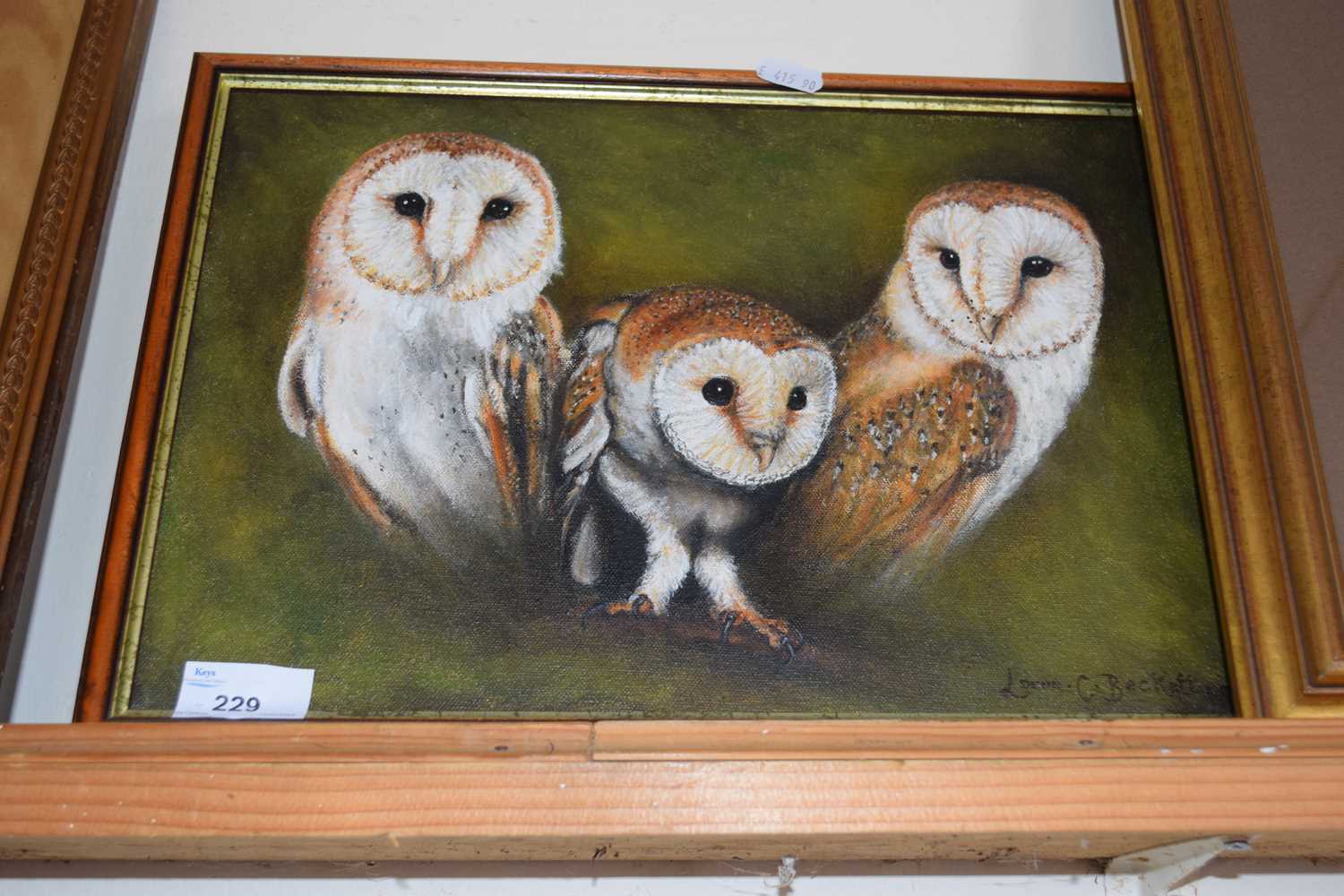 Lorna Beckett, study of barn owls, oil on canvas