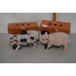 Two boxed micro pig models