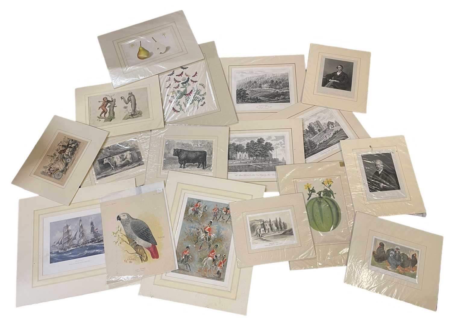 A Collection of 70 Window mounted prints and plates, mostly 19th century, engraved, lithographed,