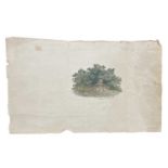 An original woodcut. John Bewick. “The Angler”[Complete Angler]. A curious piece, on paper,