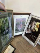 Quantity of various framed photographic prints, still life etc