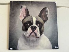 Quantity of clear drinking glasses