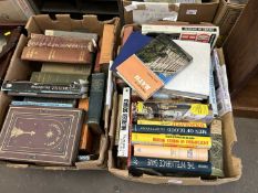 Two boxes containing a large quantity of various books including art interest, antiquarian, crime