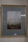 Ken Walton, study of birch trees,watercolour, framed and glazed
