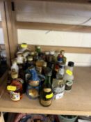 Collection of various spirit miniatures