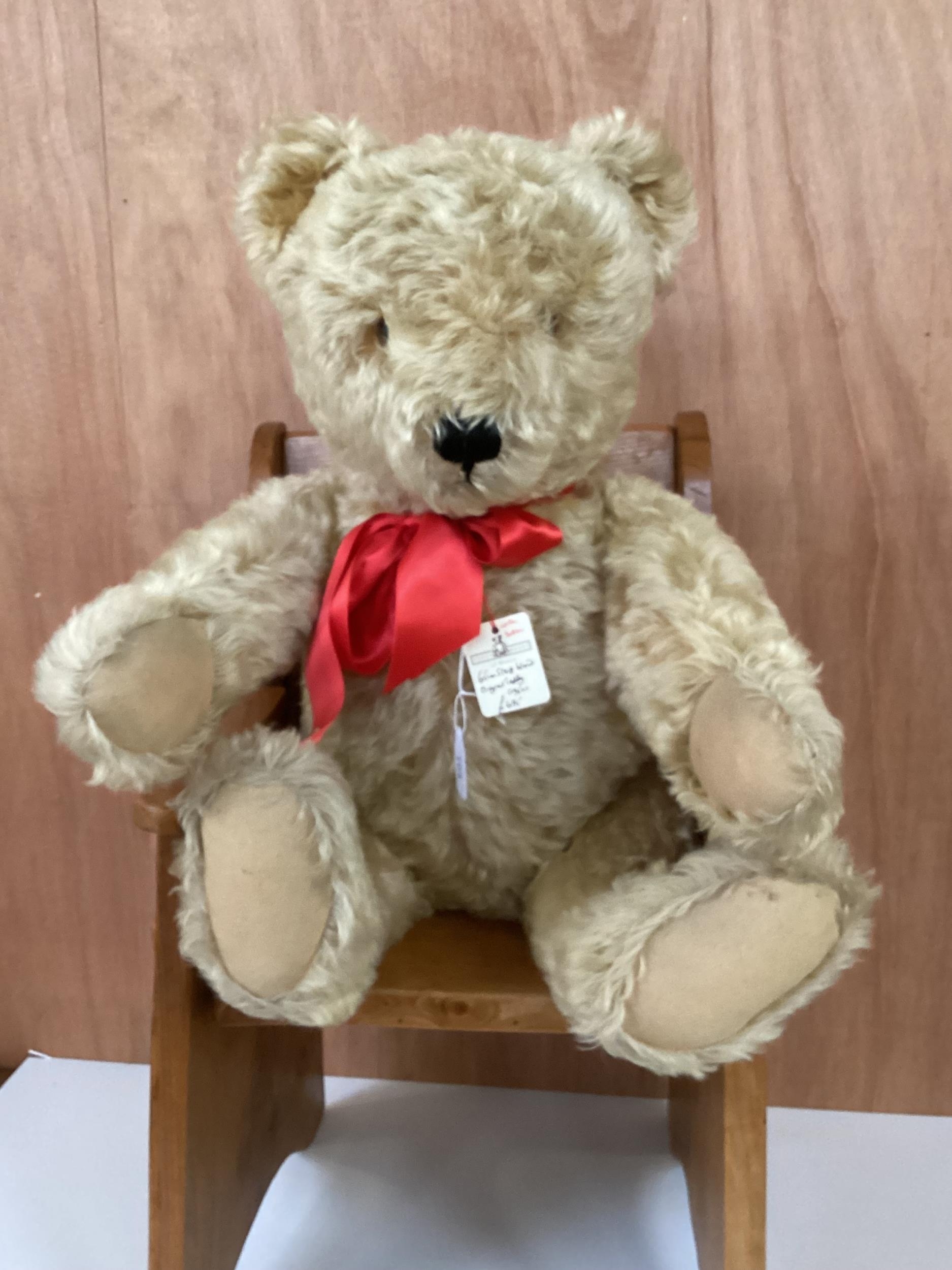 Original Steiff bear with button, 65cm Blonde, 1950 in good condition, slight light markings to - Image 2 of 13