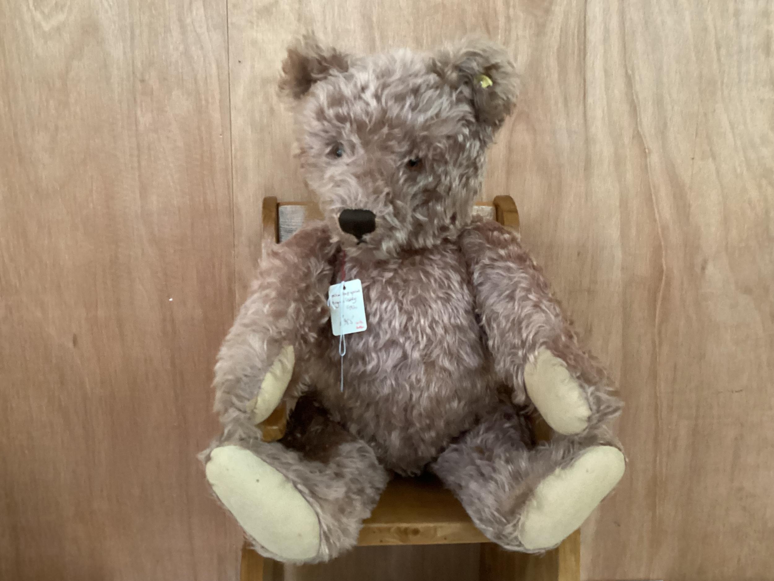 A 60cm Original Steiff Teddy, circa 1950 with button, Apricot, in fair condition, tiny bit of - Image 2 of 11